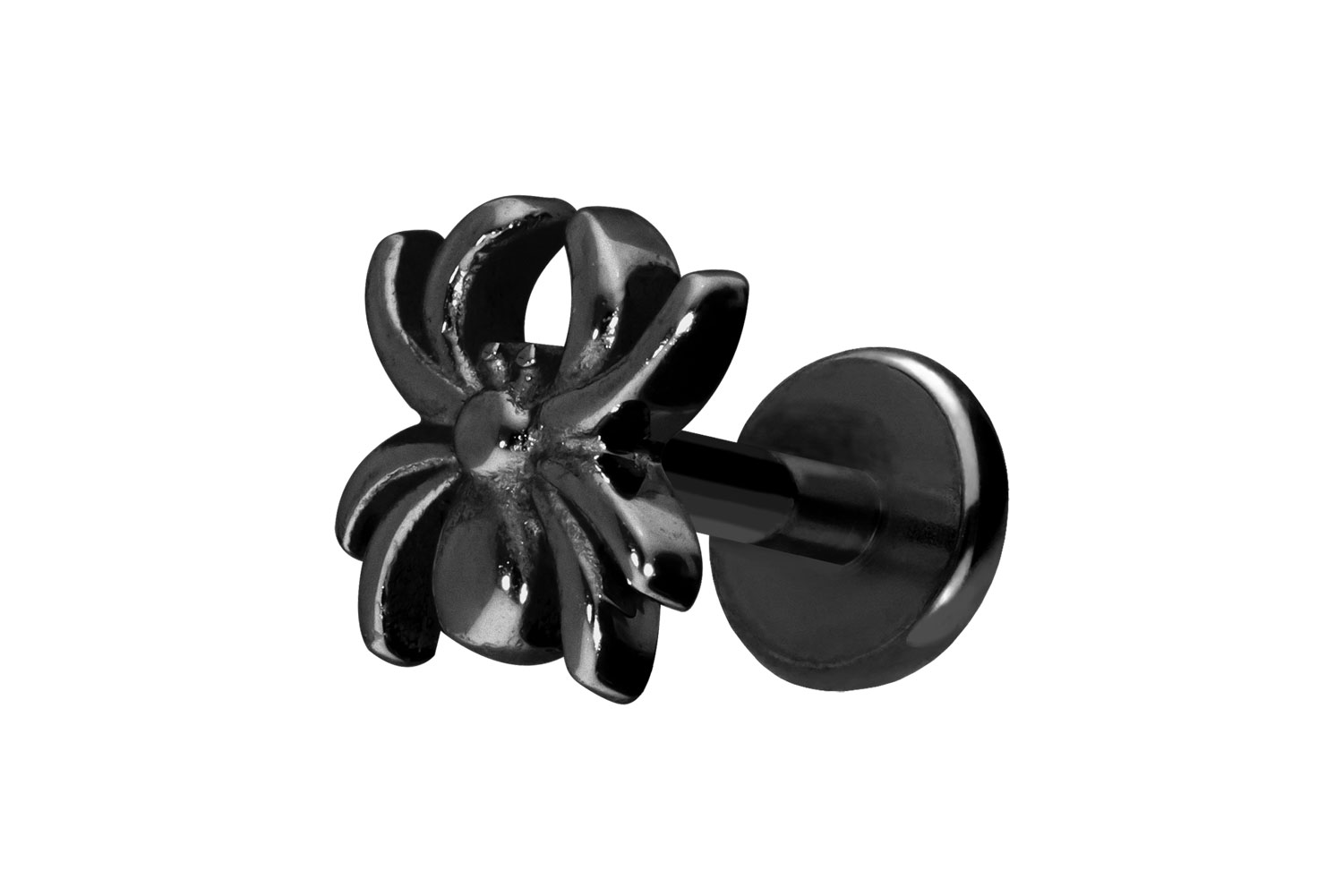 Titan Labret Piercing mit Push Fit SPINNE